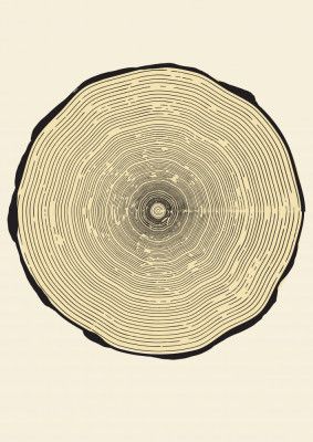 Tree Ring