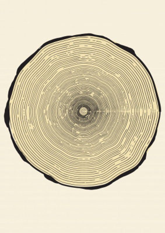 Tree Ring