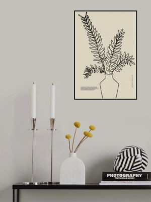 Minimalist Foliage