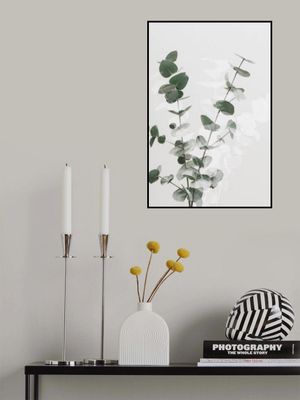 Eucalyptus Creative 02