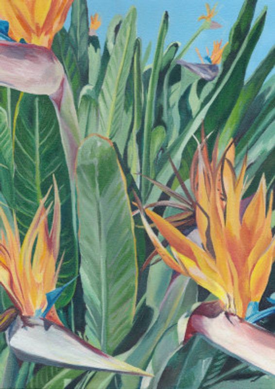 Stelitzia 1 By Viccy Wanliss