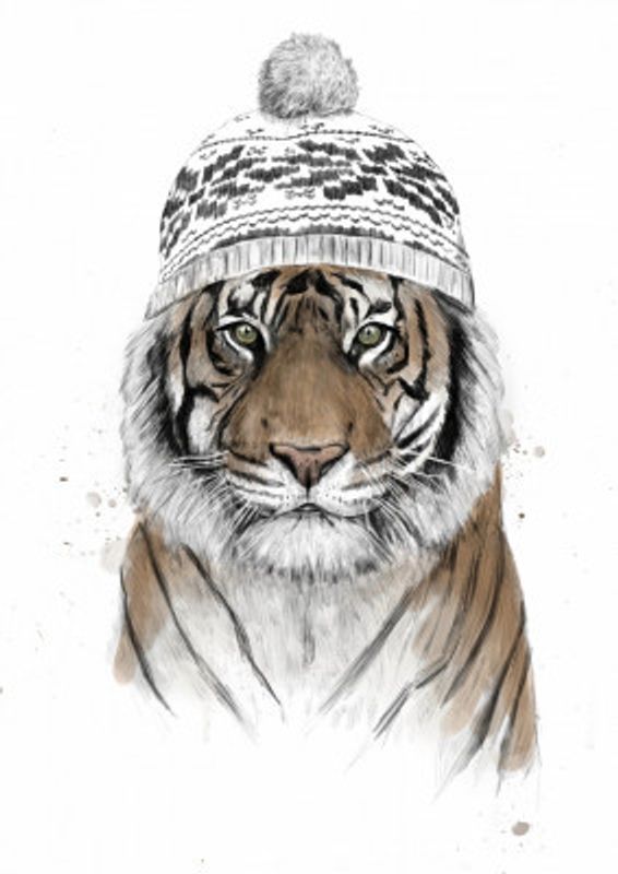 Siberian tiger