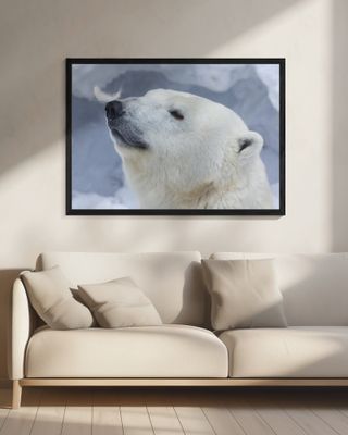 Polar bear portrait