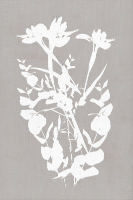 Botanical Illustration 1
