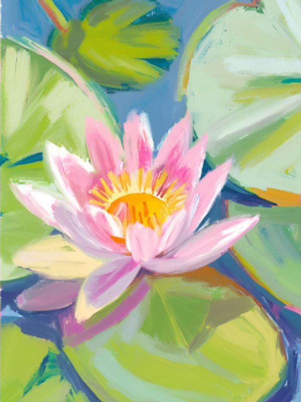 Pink Lotus Bloom