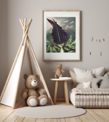 The Dragon Arum from The Temple of Flora (1807)