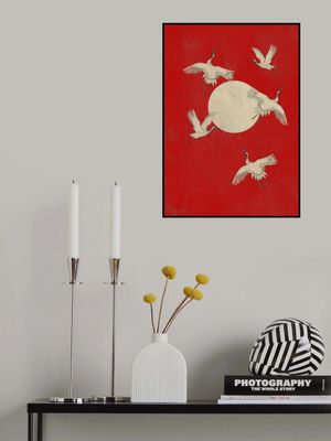 The Beautiful Flying Cranes