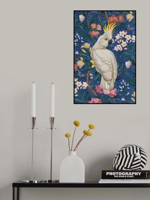 A Cockatoo In the Conservatory   Blauw