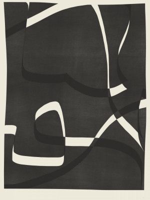 Dynamic Curves and Lines