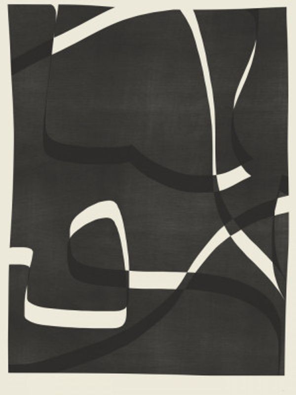 Dynamic Curves and Lines