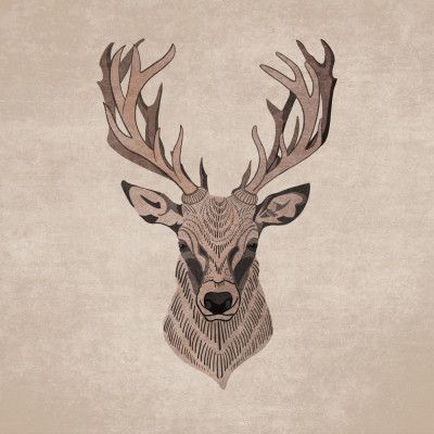 Majestic Stag Profile