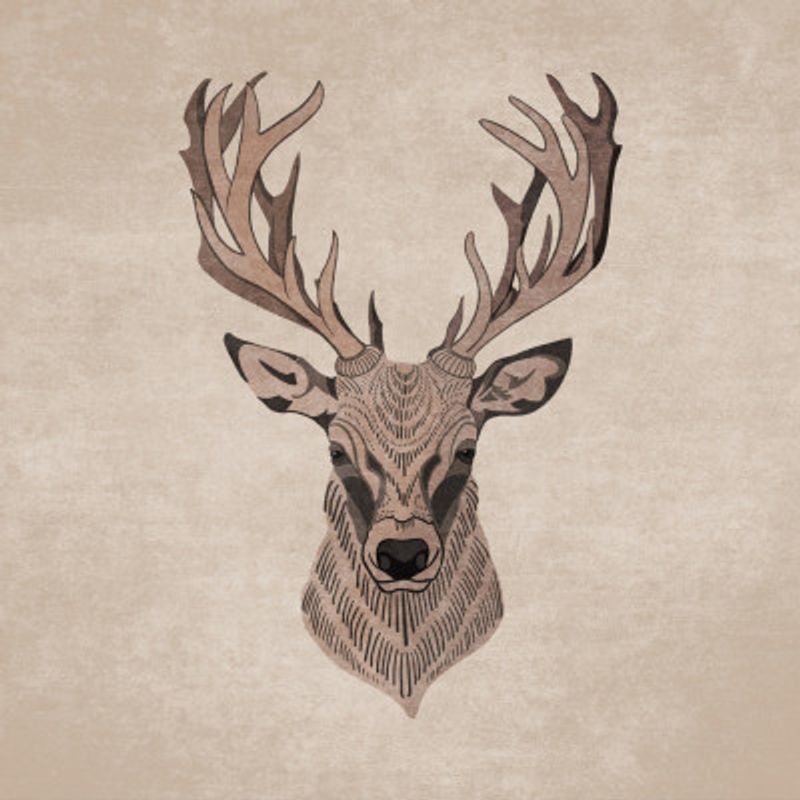 Majestic Stag Profile