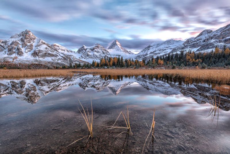 Imagine of Mt Assiniboine