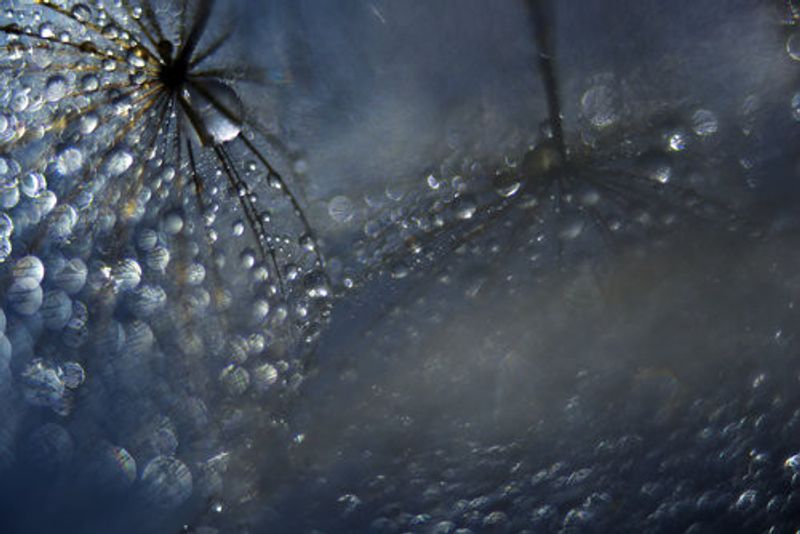 Reflections of a late evening