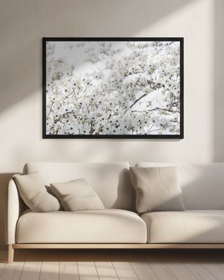 White Spring Tree 1