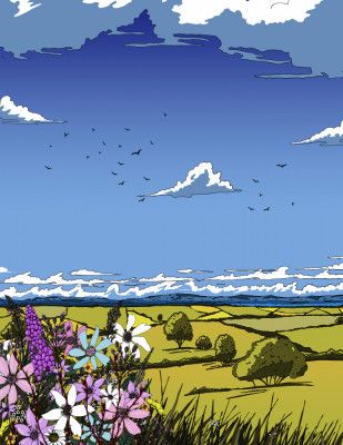 Rural Countryside Landscape