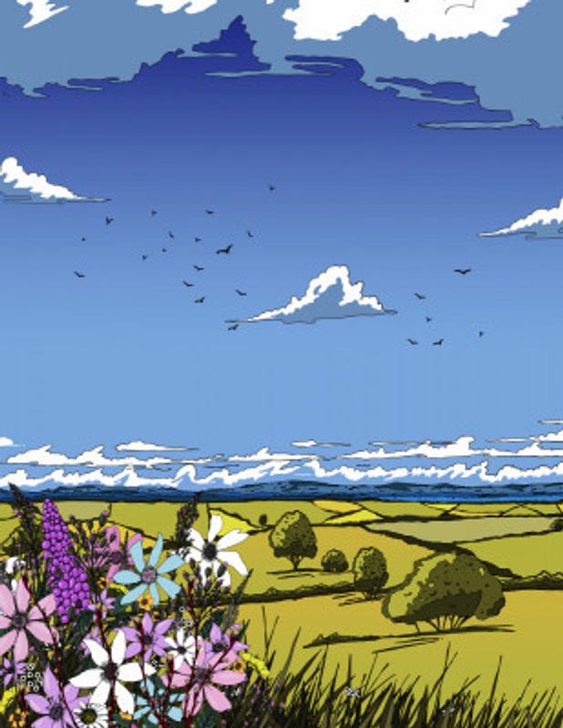 Rural Countryside Landscape