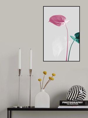 Monstera Creative 18