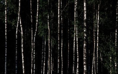 Somewhere In Sweden 4