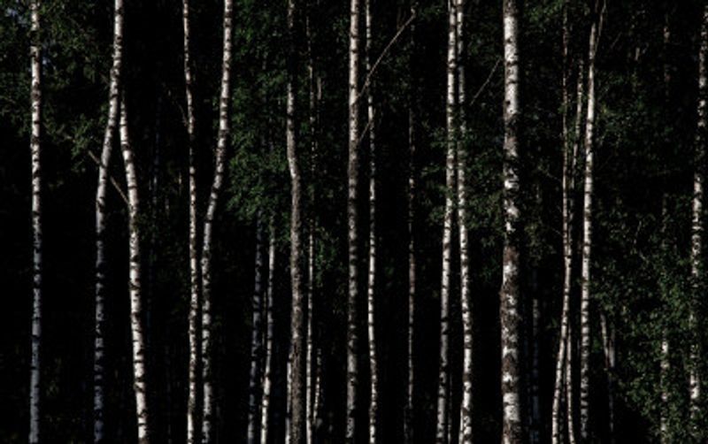 Somewhere In Sweden 4