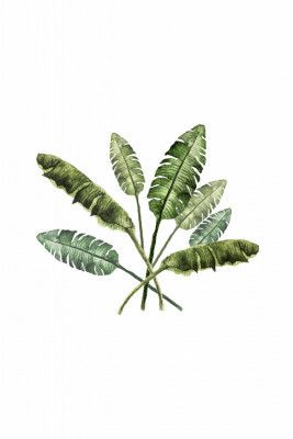 Banana Leaves Bouquet