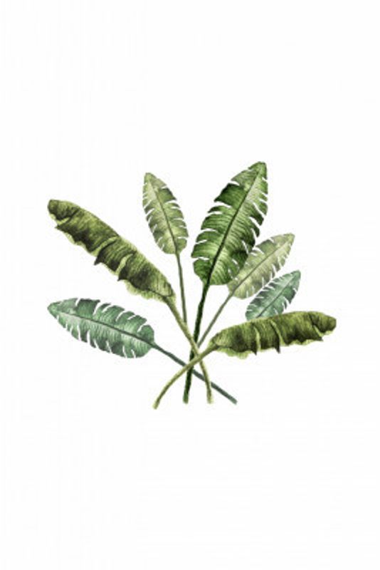 Banana Leaves Bouquet