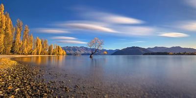 Autumn in Lake Wanaka