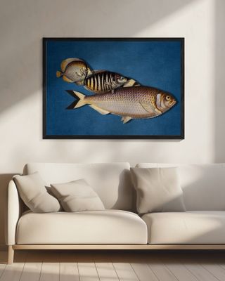 3 Fish - the Blue Edition