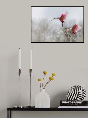 No, not landing on my spoon