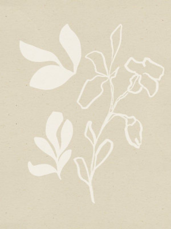White Flora Silhouettes