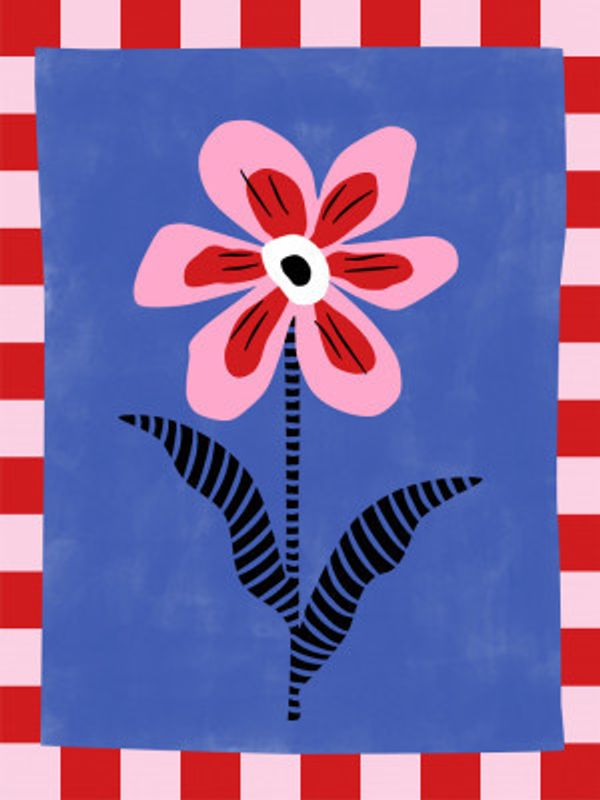 Flower with Pink Petals and Striped Leaves