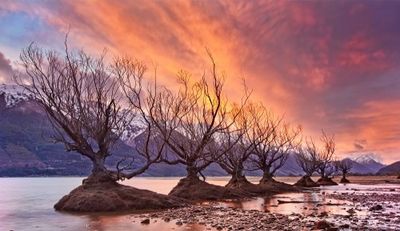 Glenorchy on Fire