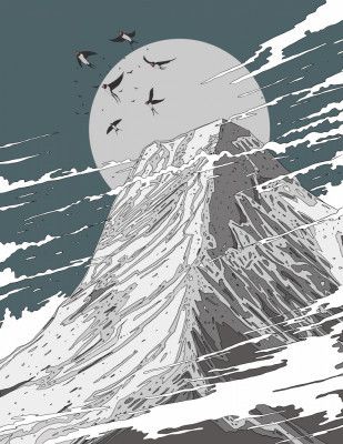 Beautiful Swift Flying High