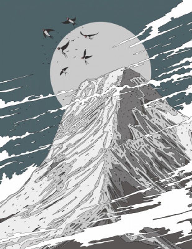 Beautiful Swift Flying High