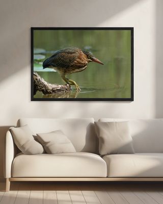 Wading Into The Unknown