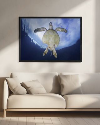 Shark attack survivor