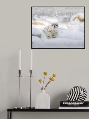 Storm day at the beach