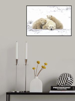 Family Portrait Snowing 8455