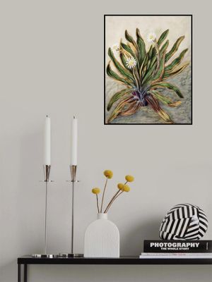 Mountain Daisy Drawn By Sarah Featon (1848–1927)