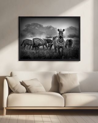 Stallion in a Pin Stripe Suit