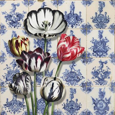 Dutch Tulips On Tiles