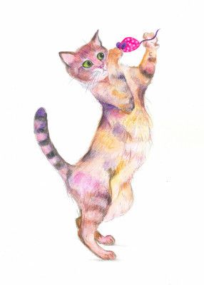 Rainbow Cat with Mouse