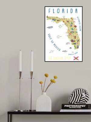 Illustrated Map of Florida by Artist Carla Daly
