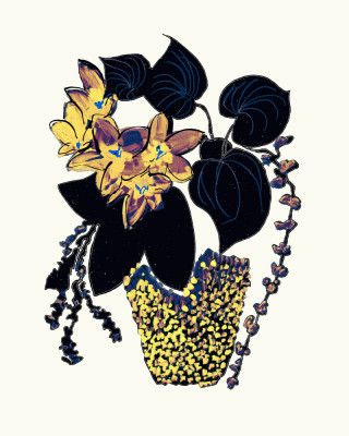 Vibrant Blooms and Black Leaves