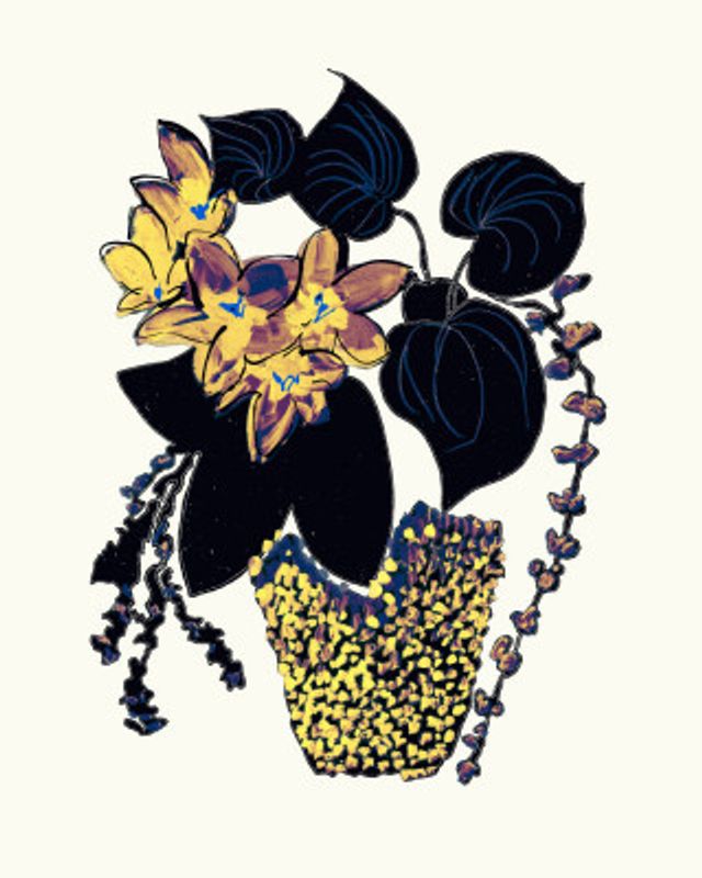 Vibrant Blooms and Black Leaves