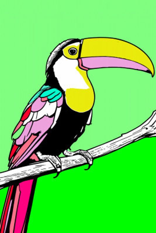 Toucan Tango 3