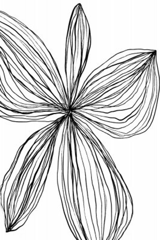 Minimalist Black and White Petals