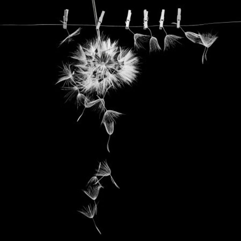 Waiting for the summer