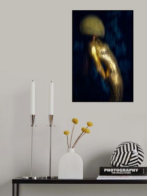 Shimmering Silhouette