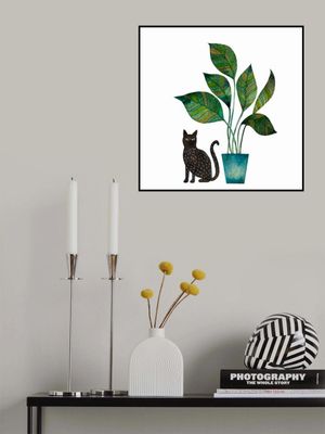 Black Cat With Houseplant